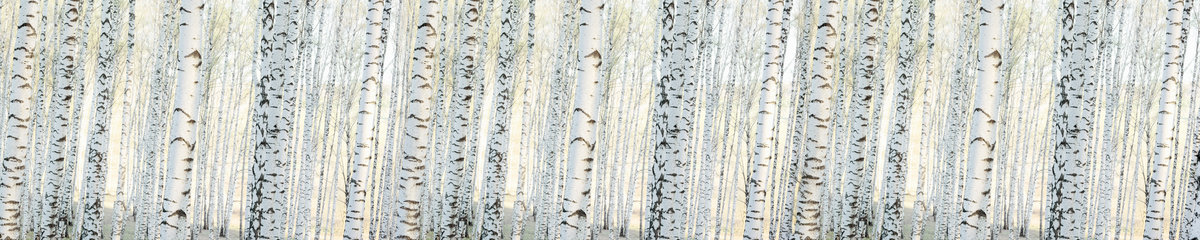 Virtuves panelis dizains SPJ 003